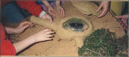 Part 3 - image Students with opened model of den of the mole