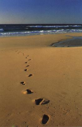 Footsteps in the sand