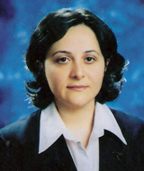 Ms. Emine Ayyildiz, PhD. Ms. Emine Ayyildiz, PhD.