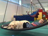Therapeutic dog 9