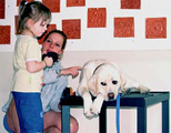 Guide dog 1