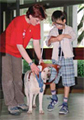 Guide dog 2