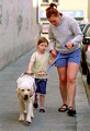 Guide dog 3